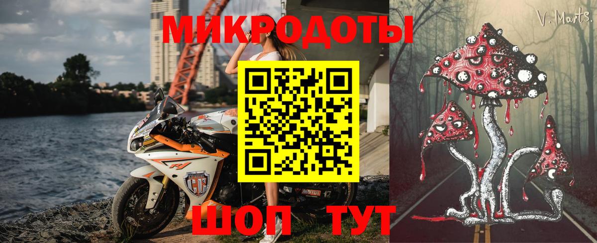 Реж  Псилоцибиновые грибы Psilocybe  Вход с VPN 